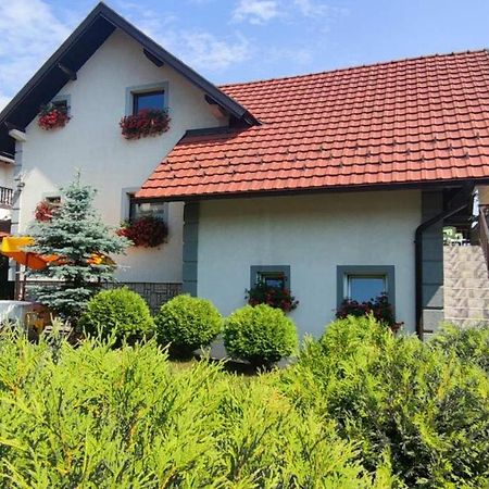 Privatni Smestaj Tesevic Zlatibor Bagian luar foto