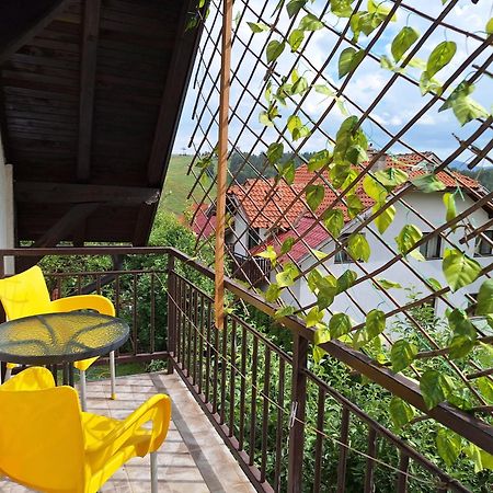 Privatni Smestaj Tesevic Zlatibor Bagian luar foto