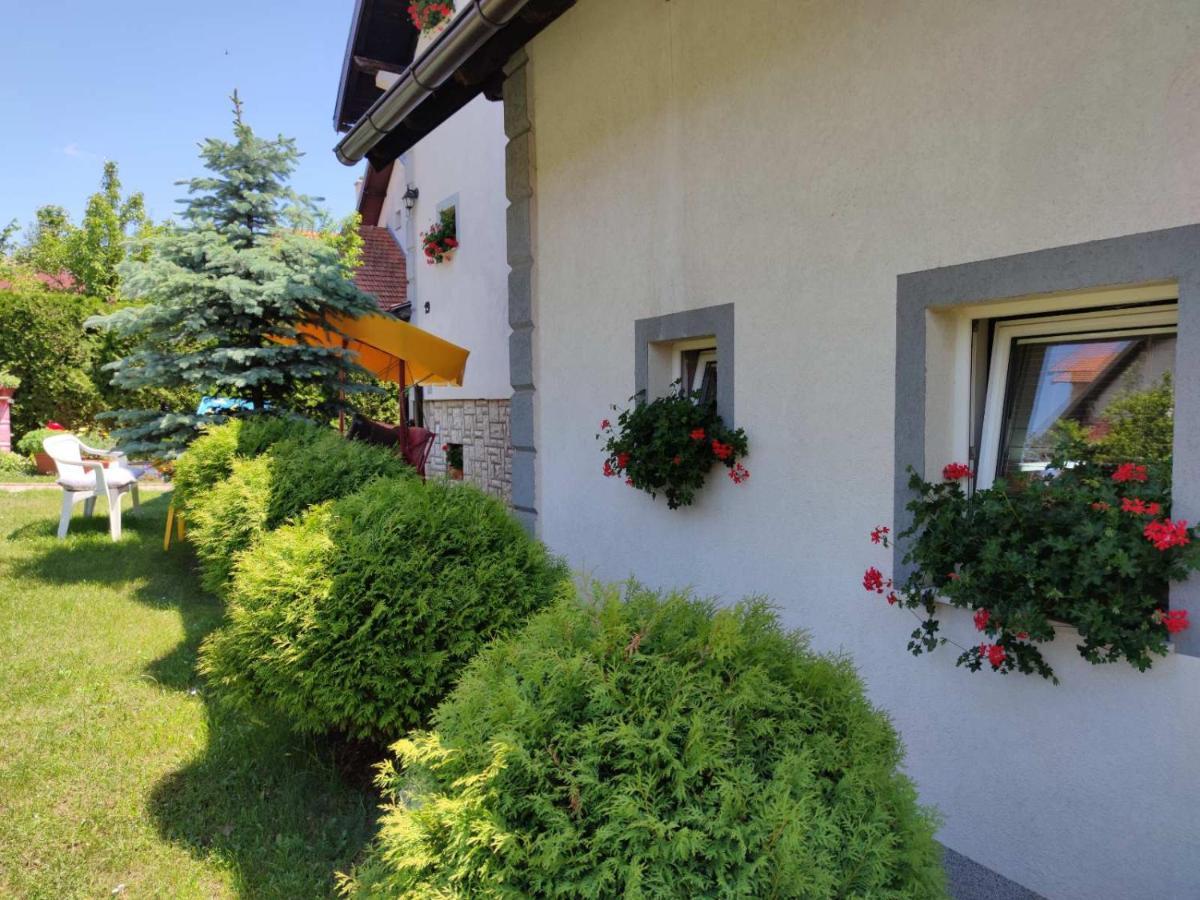 Privatni Smestaj Tesevic Zlatibor Bagian luar foto