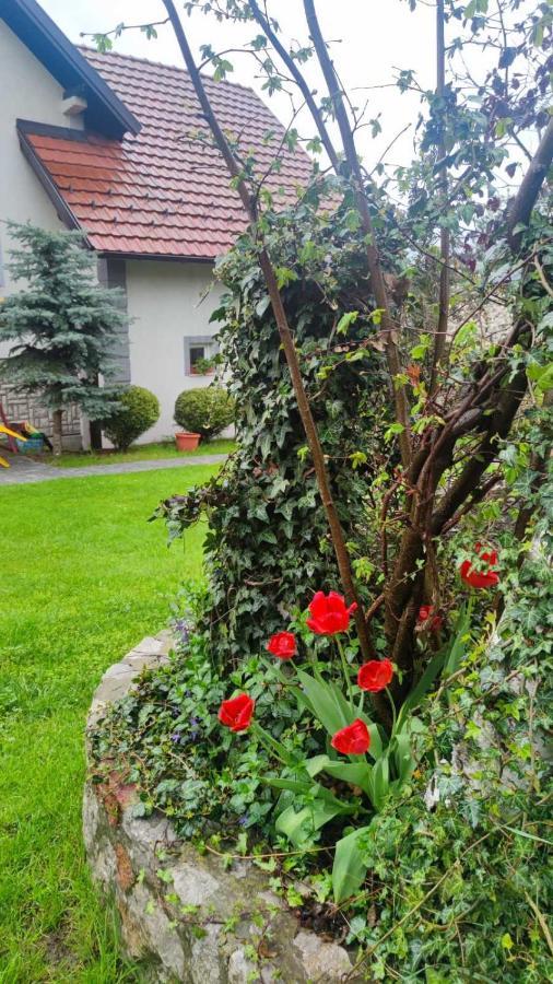 Privatni Smestaj Tesevic Zlatibor Bagian luar foto